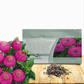 Outsidepride Purple Lilliput Zinnia Seeds - 2000 Pieces Annual, Drought Tolerant Flower Seeds for Planting Outdoors w/Pom-Pom-Like Compact Double Blooms for Borders & Containers, Pollinator Friendly