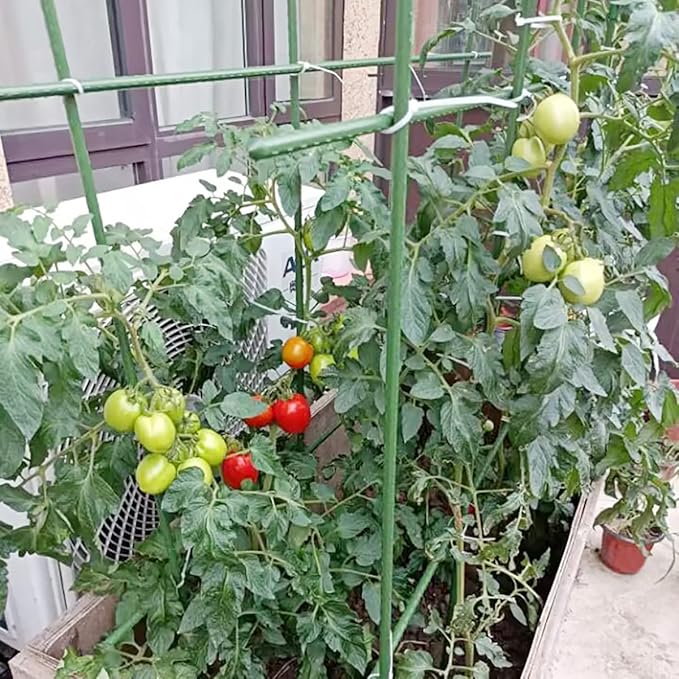 7Feet 25Pcs Plant Stakes Garden Tomato Sticks Supports for Potted Cucumber Strawberry Bean