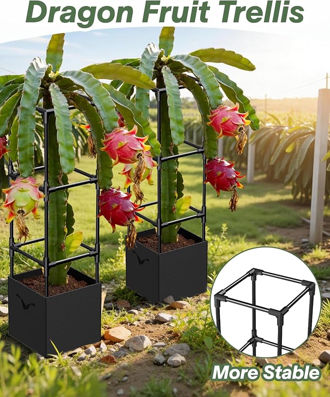 2PCS Dragon Fruit Trellis for Climbing Plants Indoor Outdoor, Heavy Duty Metal Adjustable Vertical Garden Support for Indoor Outdoor Potted Plants, Tomato, Cactus, Roses,Vines(12 * 12 * 47inch,2PC)