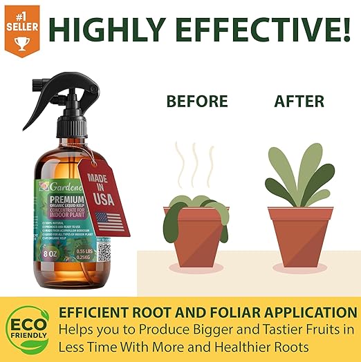 GARDENERA Professional Organic Liquid Kelp Spray for Money Tree Plants - 8 oz - Ready-to-Use Fully Organic Seaweed & Kelp Fertilizer Mist