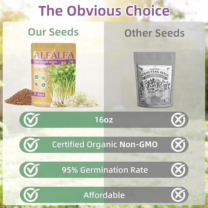 Organic Alfalfa Sprout Seeds (16 oz), Certified Non-GMO, Heirloom Seeds, Premium Alfalfa Sprouting Seeds for Sprouting and Microgreens, High Yield High Germination, Resealable Bag