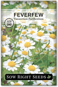 Sow Right Seeds - Feverfew Seeds for Planting - Non-GMO Heirloom Packet with Instructions to Plant an Outdoor or Indoor Herb Garden - Traditional Medicinal Herb, Make Tea & Extract for Migraines (1)