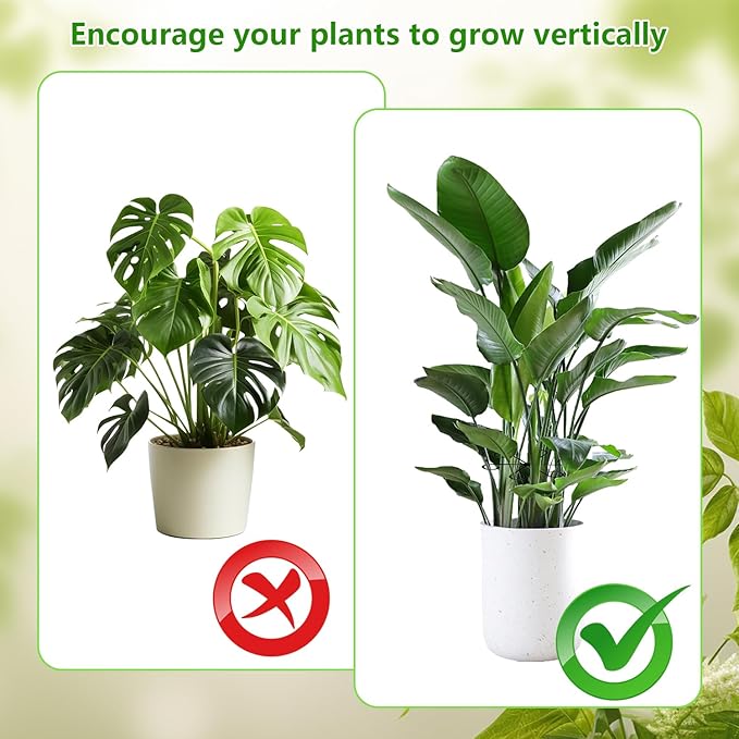 12 PCS Plant Stem Support, Reusable Stem Holder, Different Sizes Plant Support Ring
