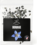 Borage Seeds for Planting – 100 Non-GMO Heirloom USA-Grown Edible Blue Flowers, Pollinator Friendly Companion Plant, High Germination (Borago officinalis)