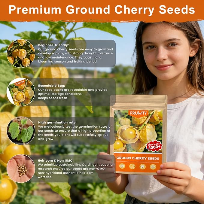 3000+ Ground Cherry Seeds for Planting, Heirloom Fruit Seeds for Outdoor Vegetable Garden, Open-Pollinated, Sweet Pineapple Ground Husk Cherry Tomatoes - Physalis pruinosa