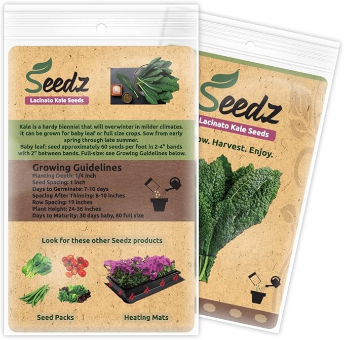 Organic Kale Seeds, APPR. 550, Lacinato Kale, Heirloom Vegetable Seeds, Certified Organic, Non GMO, Non Hybrid, USA