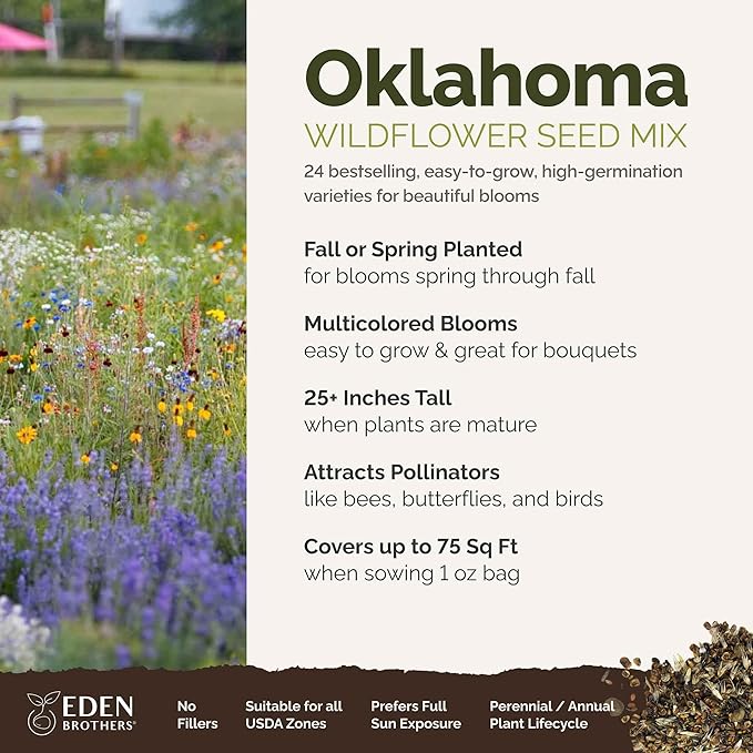 Eden Brothers Oklahoma Wildflower Mixed Seeds for Planting, 1 oz, 30,000+ Seeds with Lupine, WallFlower | Attracts Pollinators, Plant in Spring or Fall, Zones