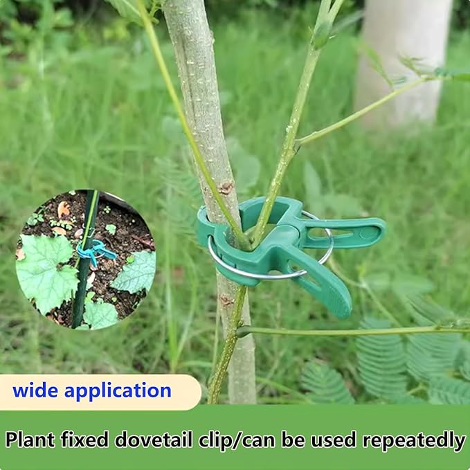 60 Garden Plant Clamps,Plant Support Clamps Hold Plant Stems,for Multi-Purpose Plants Rattan Clamps Rose,Sturdy Cucumber Orchid Clamps Plant Support Adjustable Clamps Green (Small 60Pcs)