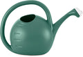 2-Gallon Premium Plastic Rosette Watering Can - The HC Companies 11"x21"x13.75" in Evergreen Color
