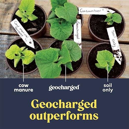 Organic Fertilizer Biochar Activated with Chicken Manure Indoor Outdoor Plant Food, Kid and Pet Safe, No Odor for Soil, Flowers, Potted Plants, Raised Beds, Vegetable Garden, Compost, 4 oz