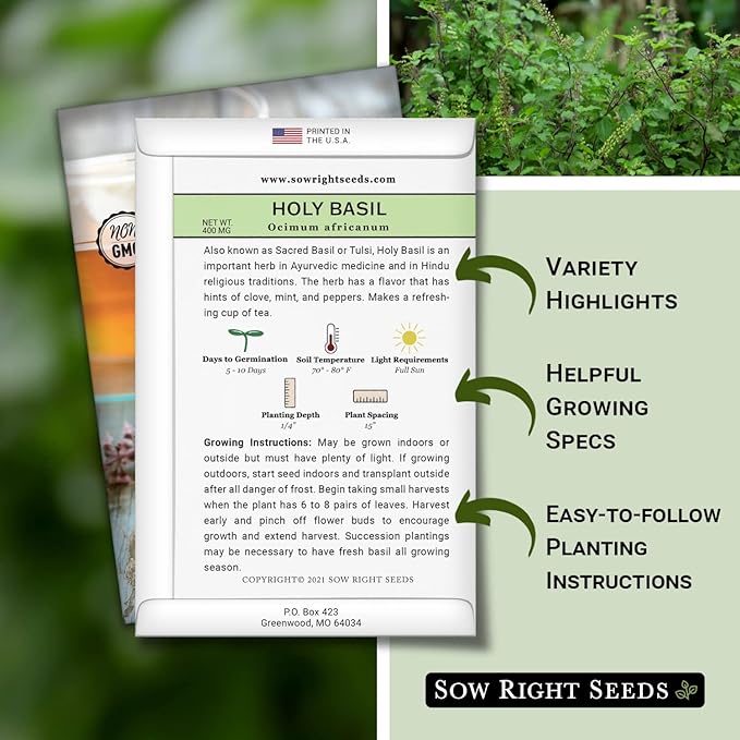 Sow Right Seeds - Holy Basil Tulsi Seed for Planting - Culinary Herb to Plant in Your Garden - Indoors or Outdoors - Ayurvedic Medicine and Tea - Non-GMO Heirloom Seeds - Great Gardening Gift (4)