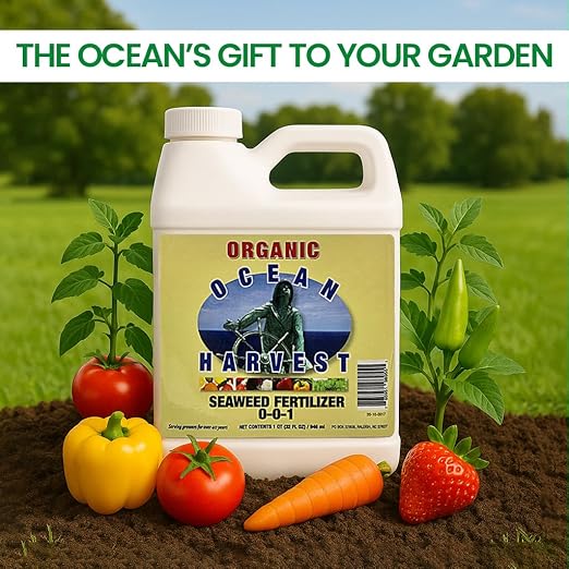 EZ-GRO 0-0-1 Seaweed Fertilizer for Plants – Organic Liquid Plant Food for Indoor & Outdoor Use | Ideal for Vegetables, Trees, Lawns & Shrubs | Promotes Plant & Flower Growth | 32 FL OZ (1 Quart)