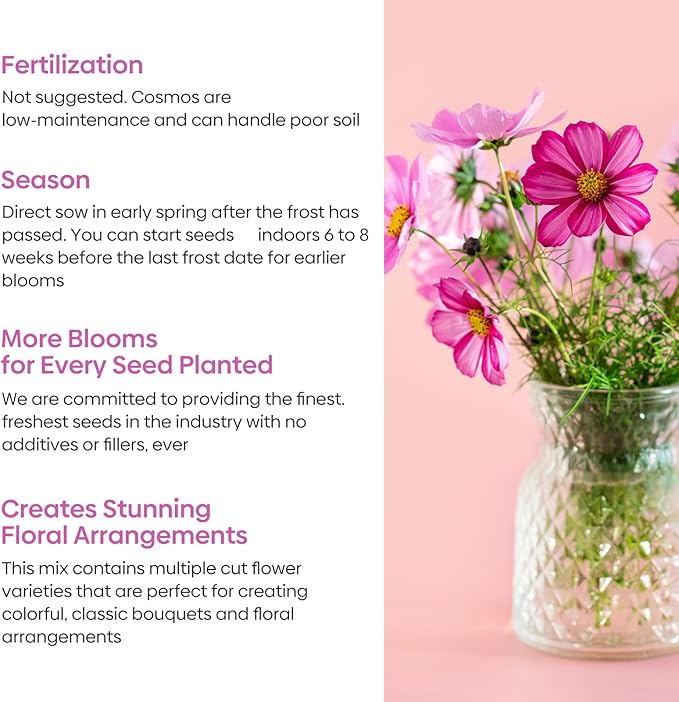 7 Varieties Cosmos Seeds Mix, 1 Ounce Over 5000+ Crazy Blend Cosmo Flowers Seed for Planting, Open Pollinated, Non-Gmo, Heirloom (Daydream, Gloria, Picotee, Purity, Radiance, Pinkie, Sulphur)