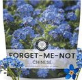 Chinese Forget Me Not – 4,000 Seeds for Planting – 2026 Season – 1 Ounce Pouch