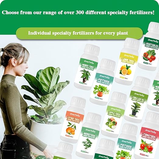 10oz (300ml) Fiddle Leaf Fig Probiotic Plant Food – Organic Microbial Nutrient Liquid for Indoor Plants, Promotes Greener Leaves & Stronger Roots