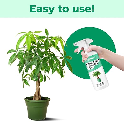 Money Tree Fertilizer Spray, Gentle Foliar Feeding Spray for Healthy Leaves and Plants, Liquid Fertilizer by TPS Plant Foods, 16oz (475ml)