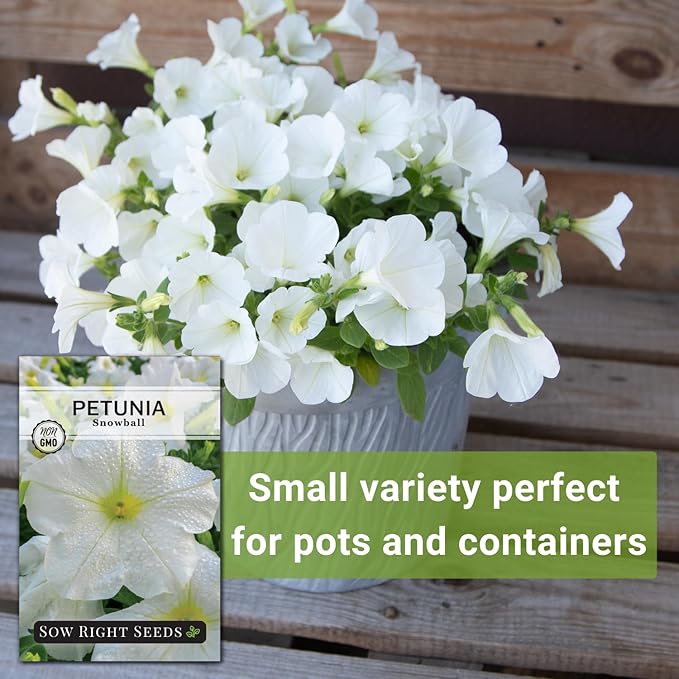 Sow Right Seeds - Snowball Petunia Seeds for Planting Outdoors - Non-GMO Heirloom Variety - Dwarf Flower - Easy to Grow White Petunias - Ideal for Flower Beds, Garden Borders, Containers (1)