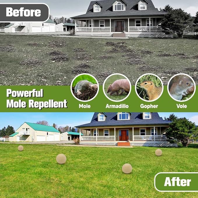 Mole Repellent Outdoor,Vole Repellent,Groundhog Repellent Outdoor,Mole Control,Mole Deterrent for Yard,Safe for Family, Pets & Plants,Lasts up to 60 Days - 8P