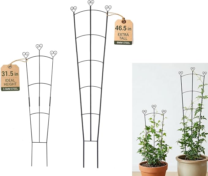 2 Pack Trellis for Climbing Plants Indoor, 31.5 Inch & 46.5 Inch Garden Plant Trellis for Climbing Plants Outdoor, Expandable House Plant Support for Pothos, Ivy, Monstera, Hoya, Black