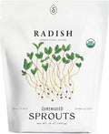 Organic Radish Sprout Seeds (16 oz) – Non-GMO, Heirloom Seeds for Sprouting and Microgreens