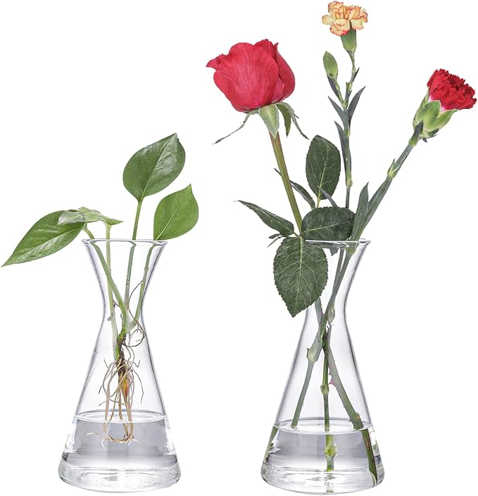 Haoideo Avocado Seed Sprout Starter Vase Planter Pot Glass Avocado Tree Plant Growing Vase Kit Indoor Home Decor Hydroponic Tabletop flower Pot for Plant Lover