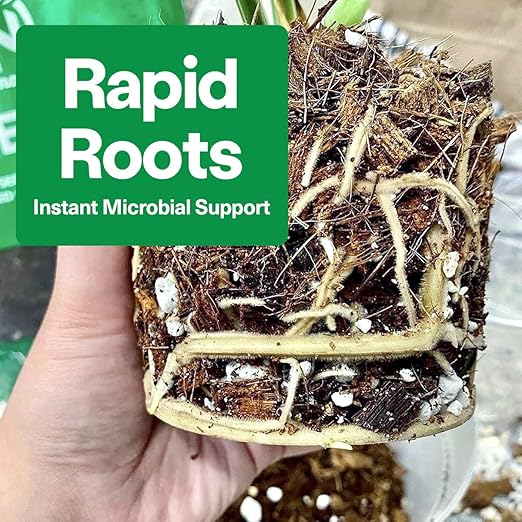 Noot Bio-Organic Plant Food Liquid Fertilizer - Makes 7 Gallons - Root Boosting Mycorrhizae - Fast Growth for Monstera, Aroid, Succulent, Orchid, Calathea, Philodendron - Use Every Watering (2 Vials)