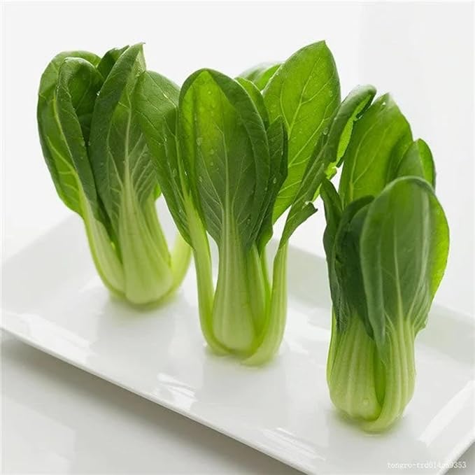 ZEshops Chinese Cabbage Seeds for Planting – 1000 Seeds Fast Growing Leafy Vegetable Seeds for Outdoor Garden or Containers, Easy to Grow Home Garden Seeds