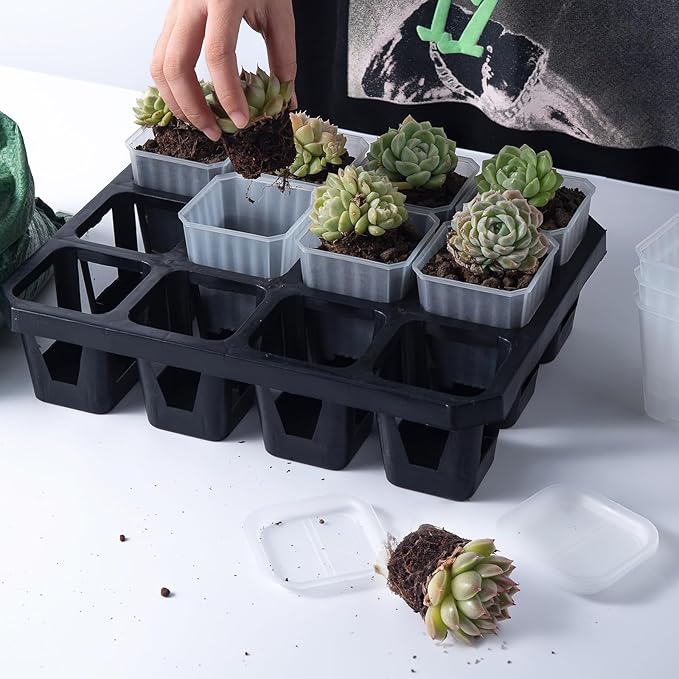 foxany 3 Inch Clear Nursery Pots, 30 Pcs Thick Plastic Plant Pot, Square Flower Planting Pots Variety Pack, Seedling Planter Starter Pots with Saucers for Garden