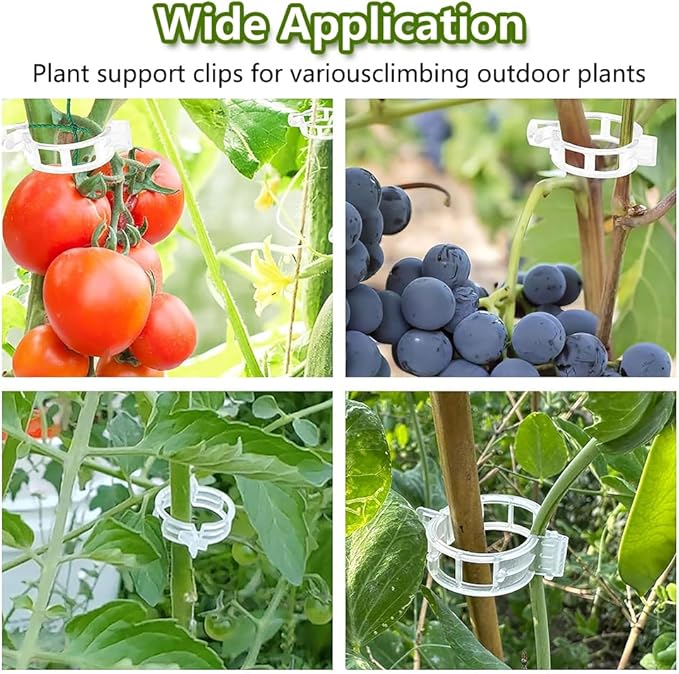 100PCS Plant Support Clips, Plastic Clips for Securing Plants, Plant Fixing Clips for Tomato Vine, Reusable Garden Clips for Climbing Plants, Grape, Vegetable Stems (300, White)