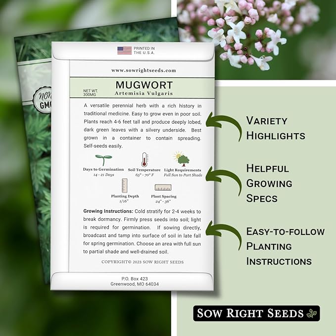 Sow Right Seeds - Mugwort Seeds for Planting - Non-GMO Heirloom Packet with Instructions to Plant an Outdoor or Indoor Herb Garden - Rare Perennial, Wild Wormwood - Medicinal & Culinary Cronewort (4)