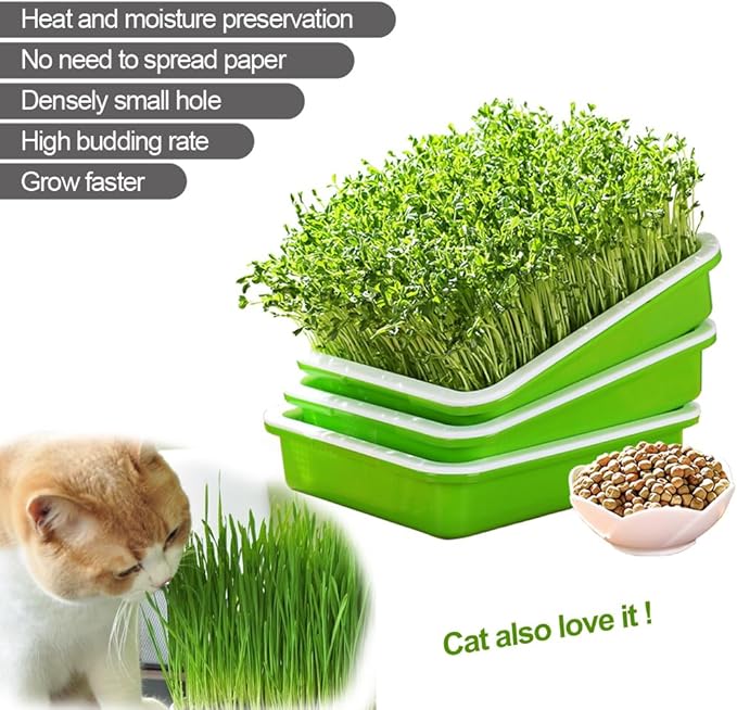 LeJoy Garden Seed Sprouter Tray BPA Free PP Soil-Free Big Capacity Healthy Wheatgrass Grower with Lid Sprouting Kit 13.4x9.84x4.72 inches