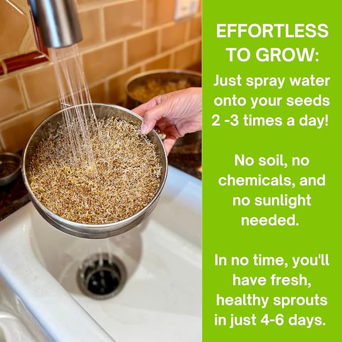 ZESTIGREENS Stainless Steel Seed Sprouter Kit - Stackable 3-Tier Seed Sprouting Germination Tray Seed Sprout Grower Maker with Lid for Growing Broccoli Alfalfa Mung Beans