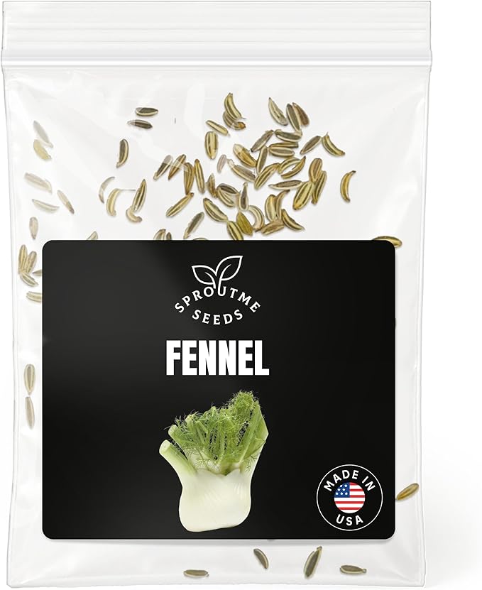 Florence Fennel Seeds for Planting – 150+ Non-GMO Heirloom Bulb Fennel (Finocchio) for Home Vegetable Gardens (Foeniculum vulgare)