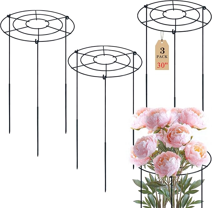 3 PCS 30"H x 13.8"D Peony Cages and Supports, Large Grow Through Plant Supports for Outdoor Plants, Heavy Duty Metal Peony Support Cage Plant Brace Flower Support Rings for Vegetables Roses Tomatoes