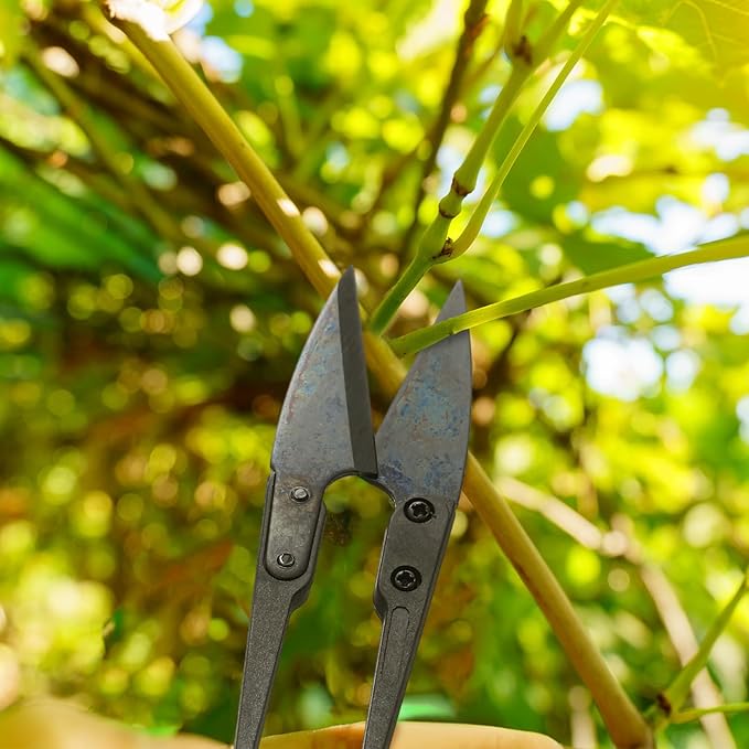 Therwen 48 Pieces Bonsai Pruning Scissors 4 Inch Sewing Scissors Bulk Leaves Trimmer Small Pruner Shears Bud U Shaped Garden Shears for Gardening Plants Flower Bonsai Trimming