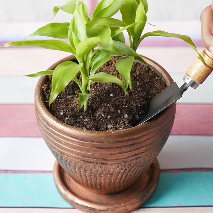 Premium Lucky Bamboo Soil Mix 1qt, Indoor Plants Potting Mix for All Potted Luncky Bamboo, Promote Healthy Growth and Longevity