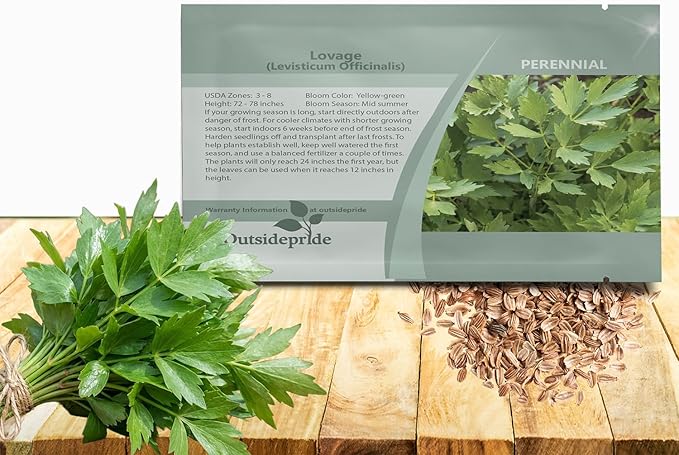 Outsidepride Lovage Vegetable Seeds - 1000 Pcs. Perennial, Easy to Grow & Drought-Tolerant, Herb Seeds for Planting Edible & Vibrant Yellow-Green Blooms, Great for Xeriscaping & Pollinator Gardens