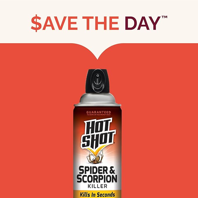 Hot Shot Spider & Scorpion Killer (Aerosol), Kills Large Spiders and Scorpions in Seconds, Including Black Widow, Brown Recluse and Wolf Spiders, 16 Ounces