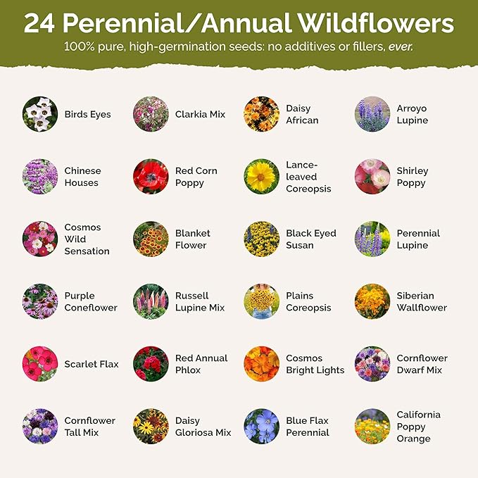 Eden Brothers Colorado Wildflower Mixed Seeds for Planting, 1 oz, 30,000+ Seeds with Cornflower, Lupine | Attracts Pollinators, Plant in Spring or Fall, Zones