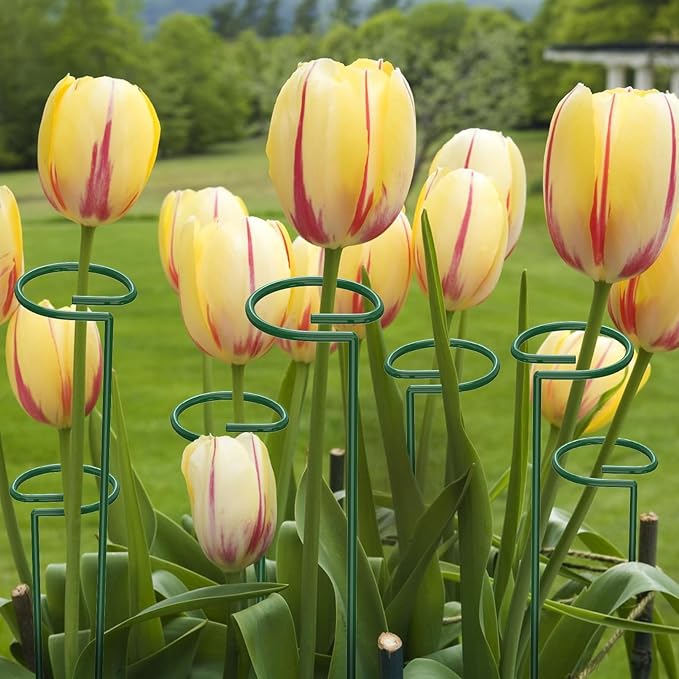 Unves 12 Pack Plant Stakes, 15.75 Inch Green Single Stem Flower Garden Plant Support with 100 Pcs Twist Ties, Plants Cage Support Rings for Amaryllis Orchid Peony Rose