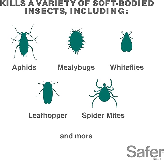 Safer 5118-6 Insect Killing Soap Concentrate - Insecticidal Soap for Plants - Kills Aphids, Whiteflies, Thrips, Spider Mites, and More - OMRI Listed for Organic Use - 6 Pack