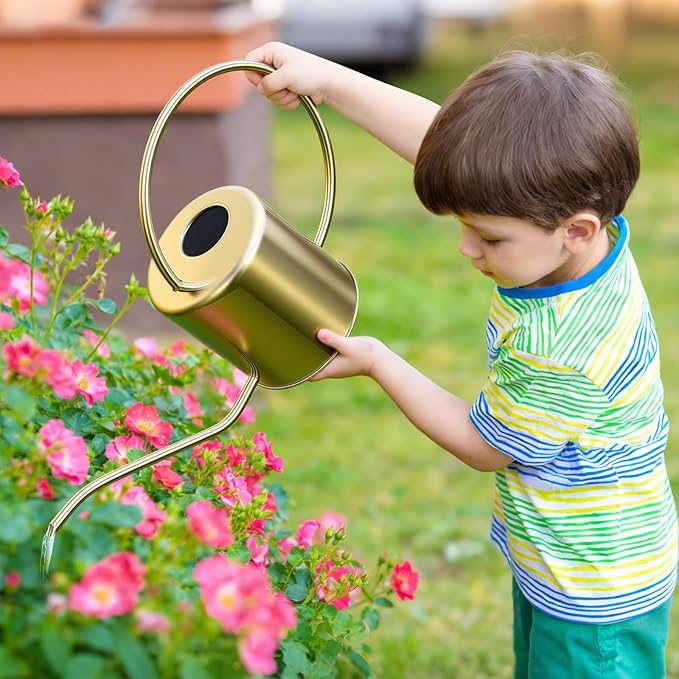 Plant Watering Can, 50 oz / 1500 ml Stainless Steel Metal - Modern Decorative with Long Spout for Indoor Potted Plants, Bonsai, Garden Flowers, Gold