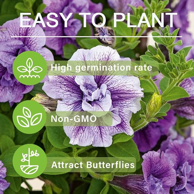 320+Perennial Mixed Petunia Flower Seeds for Planting Outdoor Non-GMO Heirloom