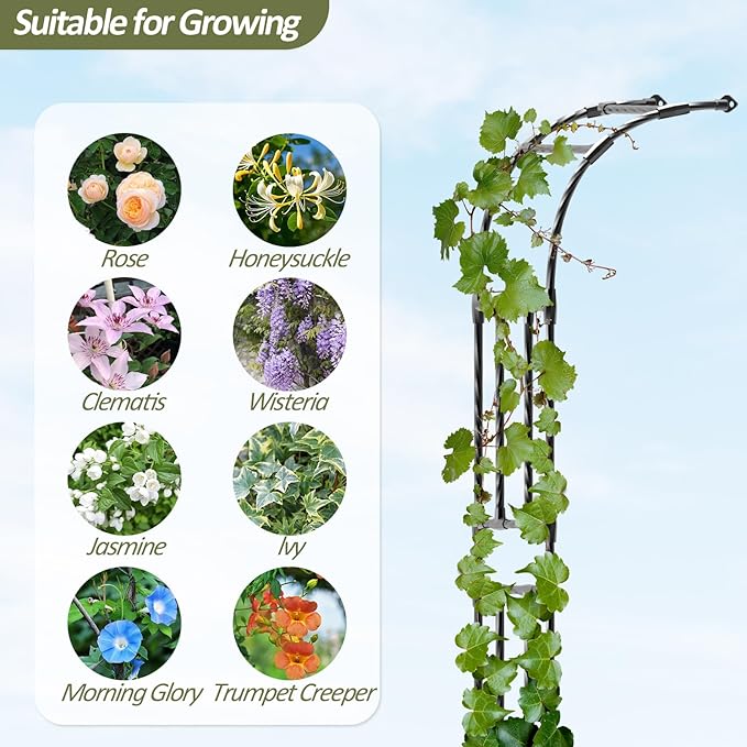 Half Garden Arch - Wall Trellis for Climbing Plants Outdoor, Metal Arch with Plastic-Coated Steel Pipe, Arbor Trellis for Lawn, Patio, Backyard Decorations, 24in(L)*94.5in(H)