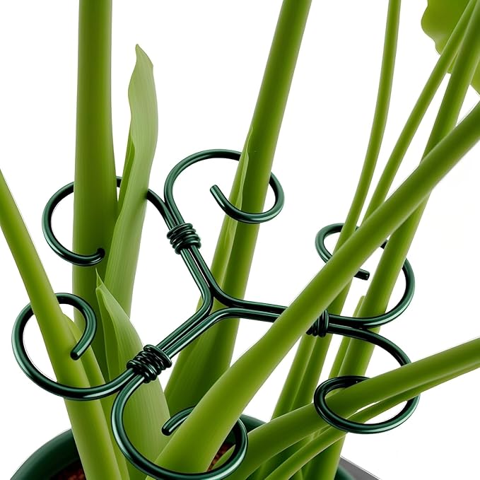 4Pack Green Iron Monstera Support,4.1 * 4.1IN Plant Support Stakes for Indoor Plants,Durable Green Metal Plant Stem Supports-Easy Installation.