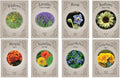 Set of 8 Pollinator-Friendly Wildflower Seed Mix – Grow a Thriving Garden for Bees, Butterflies & Hummingbirds – Non-GMO, Heirloom, High Germination – Wildflowers, Lavender, Sunflowers & More