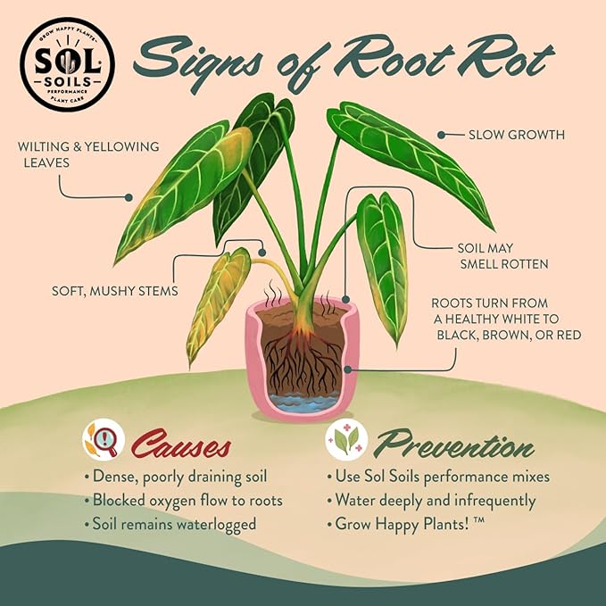 Sol Soils Calcined Clay – 100% Peat-Free Soil Amendments with Superior Drainage, Aeration, & Root Health for Indoor Plants, Succulents, Bonsai & More - 1 Gallon