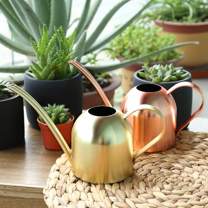 Small Watering Can Indoor Plants Metal Watering Cans 15oz Capacity Cute Design for House Plants & Gardens (Rose Gold 15 oz)
