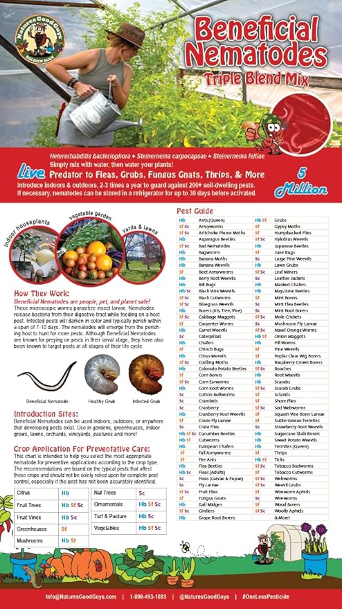 Live Beneficial Nematodes Hb+Sc+Sf - Kills Over 200 Different Species of Soil Dwelling and Wood Boring Insects. (5 Million_Nematodes)