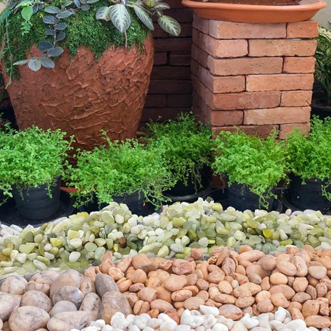 YISZM 5LB Succulent and Cactus Pebbles, 1/5 Inch Jade Natural Decorative Polished Stones, River Rocks for Plants, Vases and Outdoor Gardening